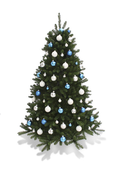 Zelfgenoegzaamheid Wrak Monografie Blauw wit zilver – Kerstbomen verhuur – Kerstbomen huren | De  Kerstboomspecialist