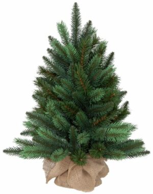 Worden Achterhouden Momentum Mini Kerstbomen – Kerstbomen verhuur – Kerstbomen huren | De  Kerstboomspecialist