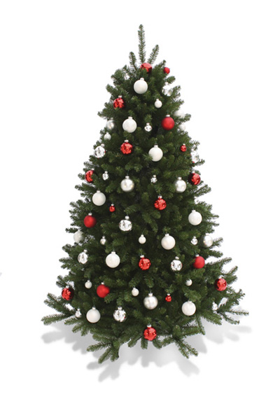 Rood-wit-zilver Kerstbomen verhuur – huren De