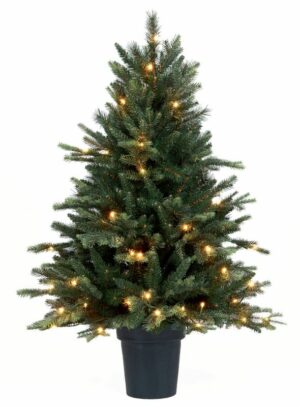 Worden Achterhouden Momentum Mini Kerstbomen – Kerstbomen verhuur – Kerstbomen huren | De  Kerstboomspecialist