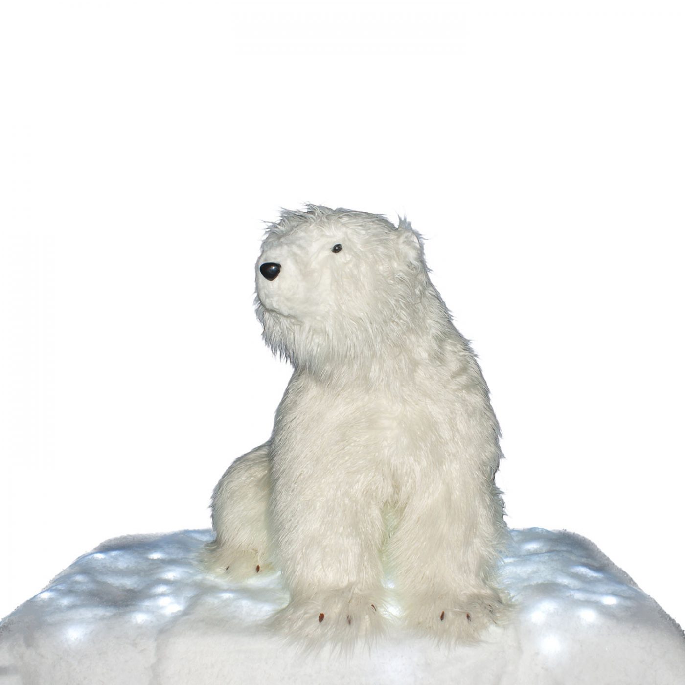 nadering Monetair Waden Grote ijsbeer 60cm – Kerstbomen verhuur – Kerstbomen huren | De  Kerstboomspecialist